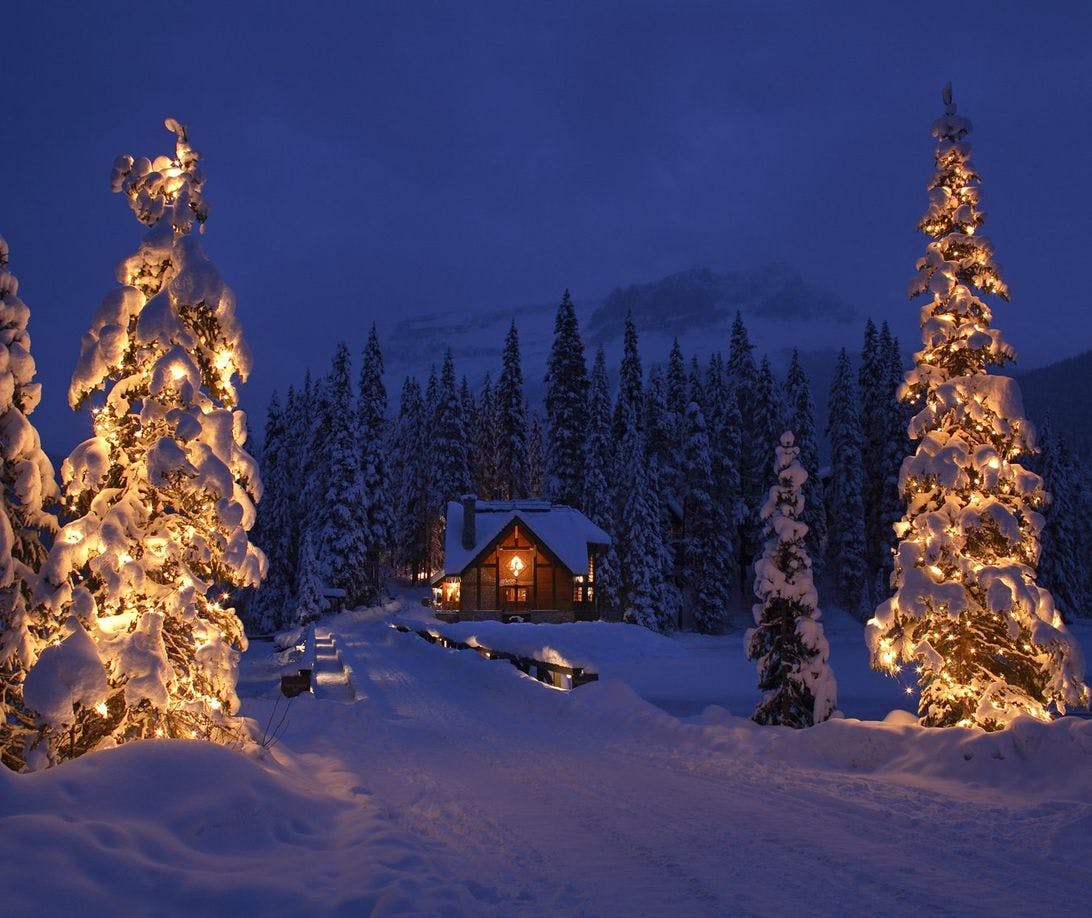 A snow covered pathway leads to a cabin lit up at night. Large snow covered trees with Christmas lights mark the pathway