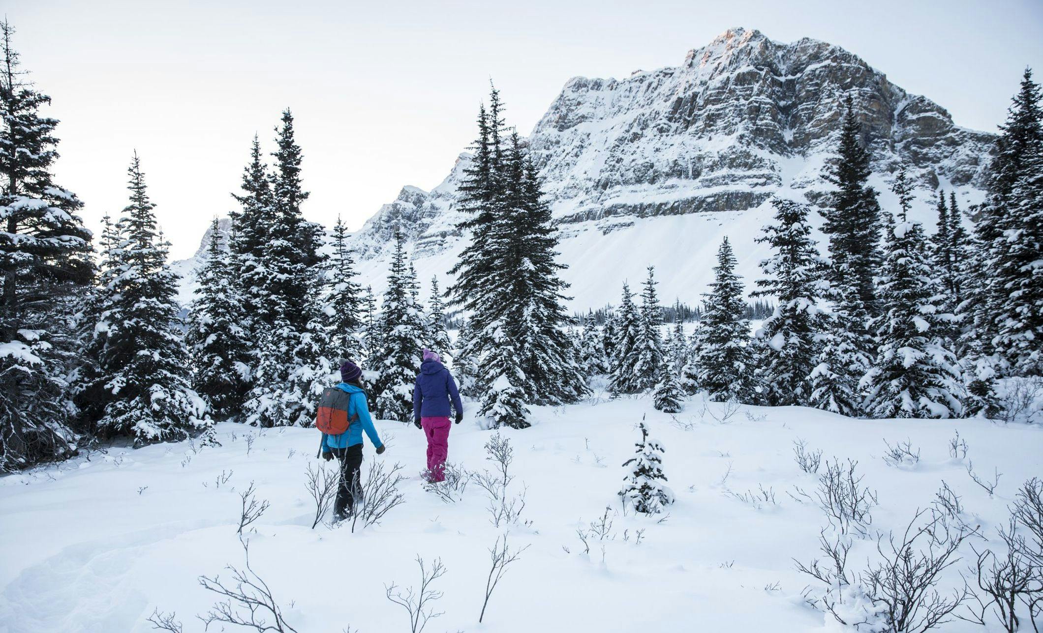 A couple snowshoeing through deep snow towards a wintery forest with mountains ahead of them
