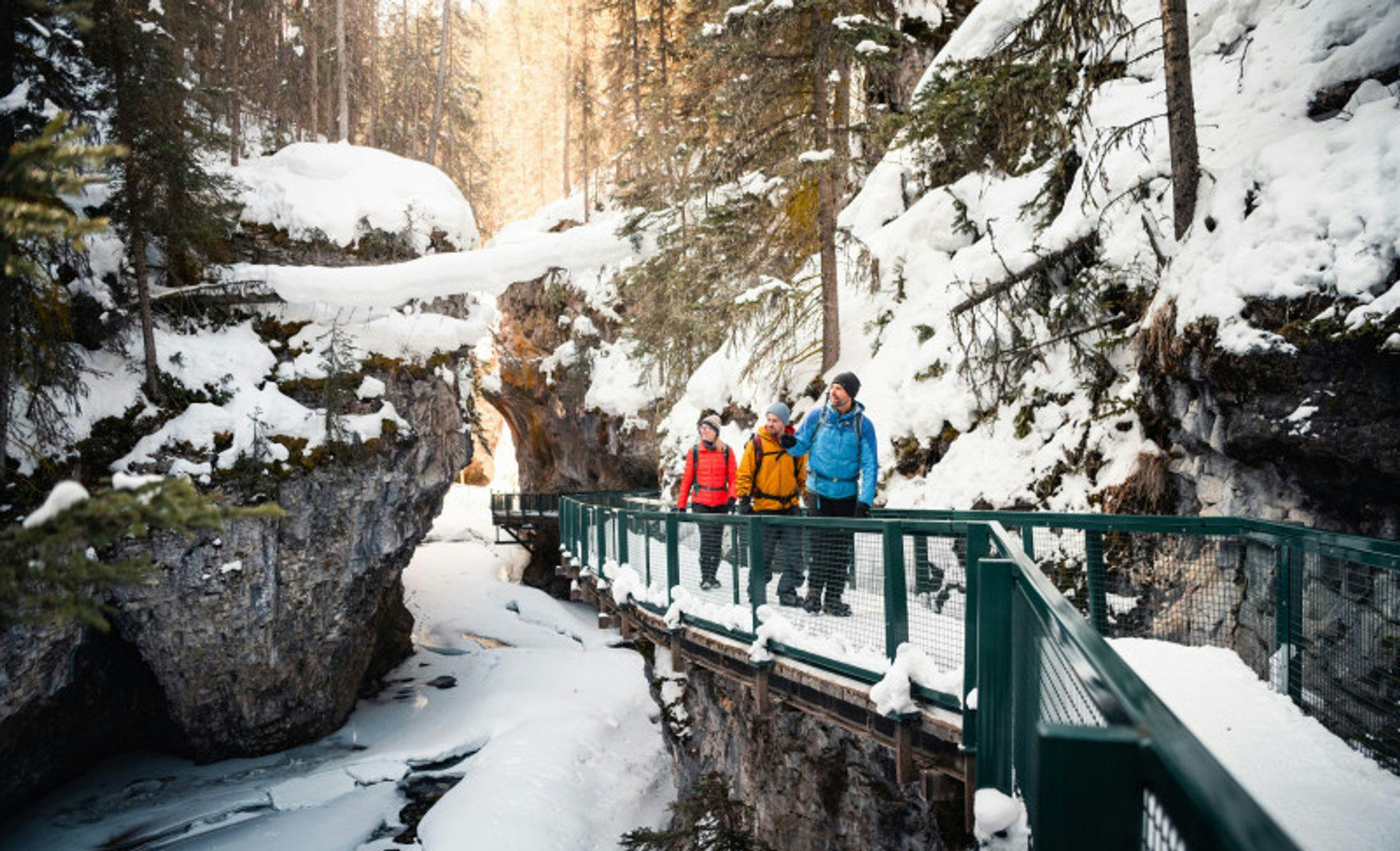 Discover Banff Tours