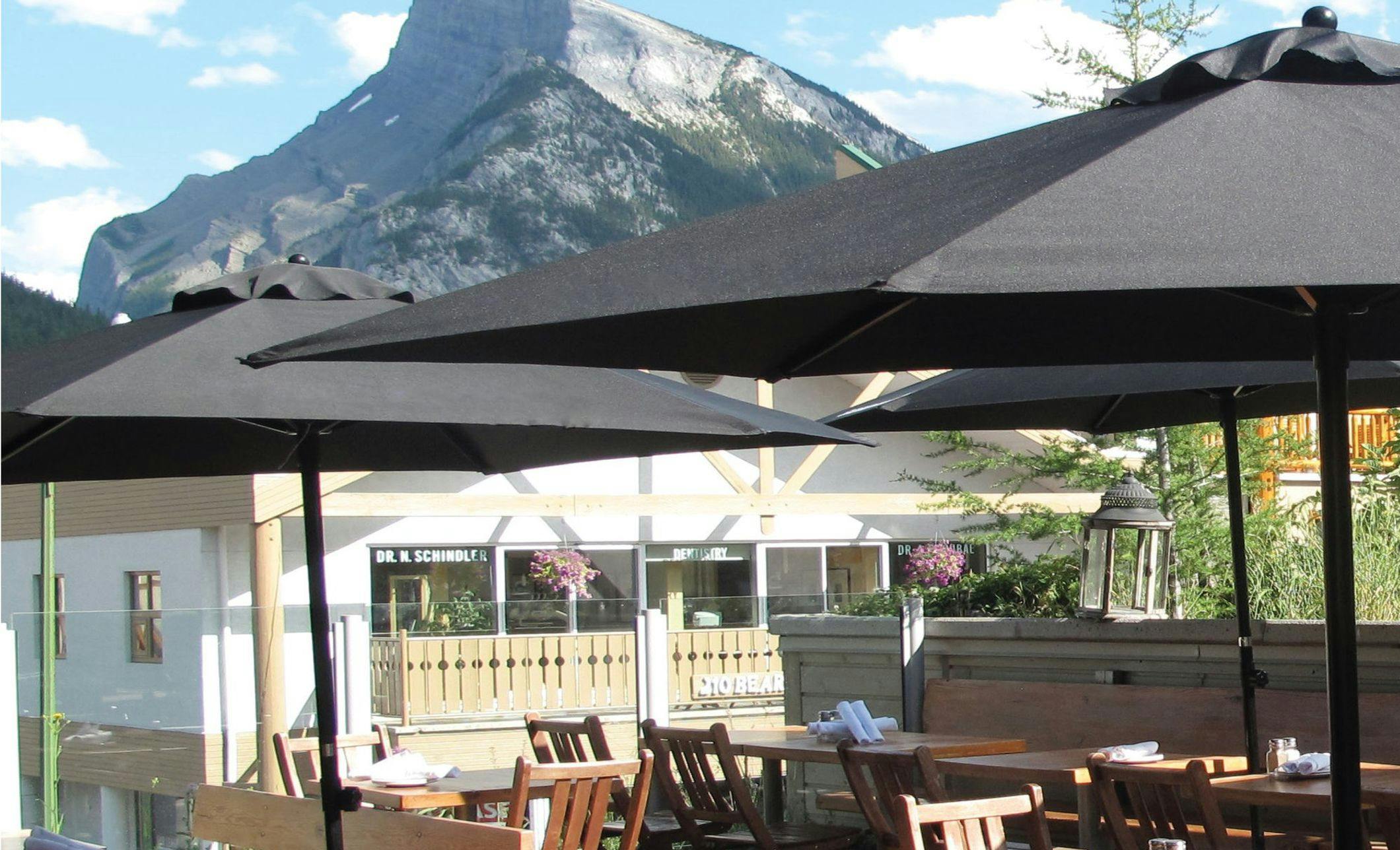 The Bison - Rooftop Patio in Summer - Views of Rundle