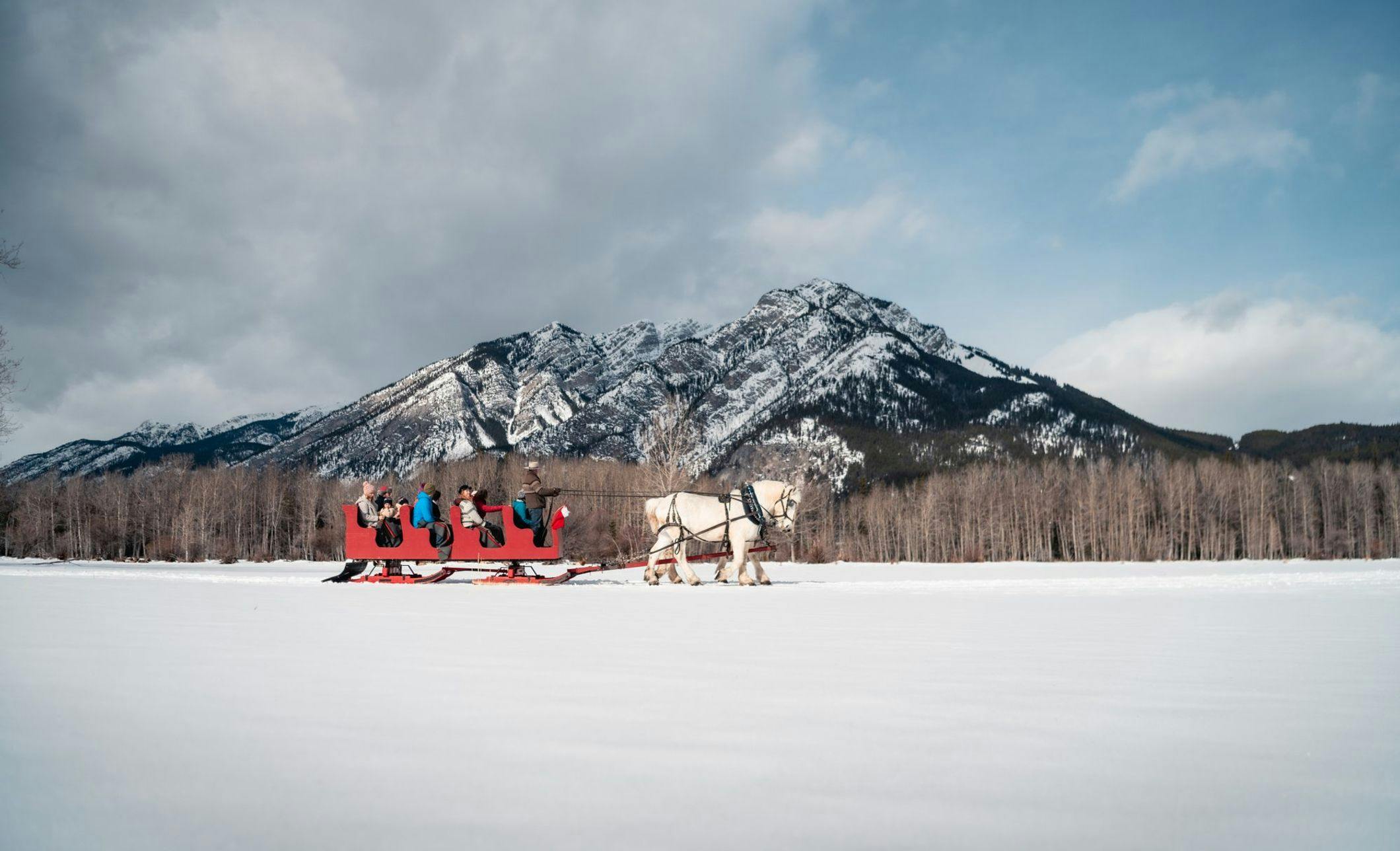 A family enjoying a horse drawn sleigh ride