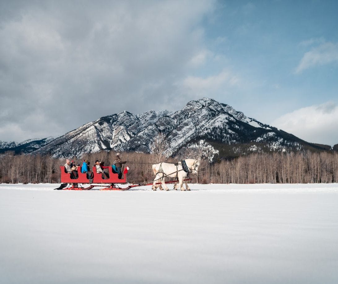 A family enjoying a horse drawn sleigh ride