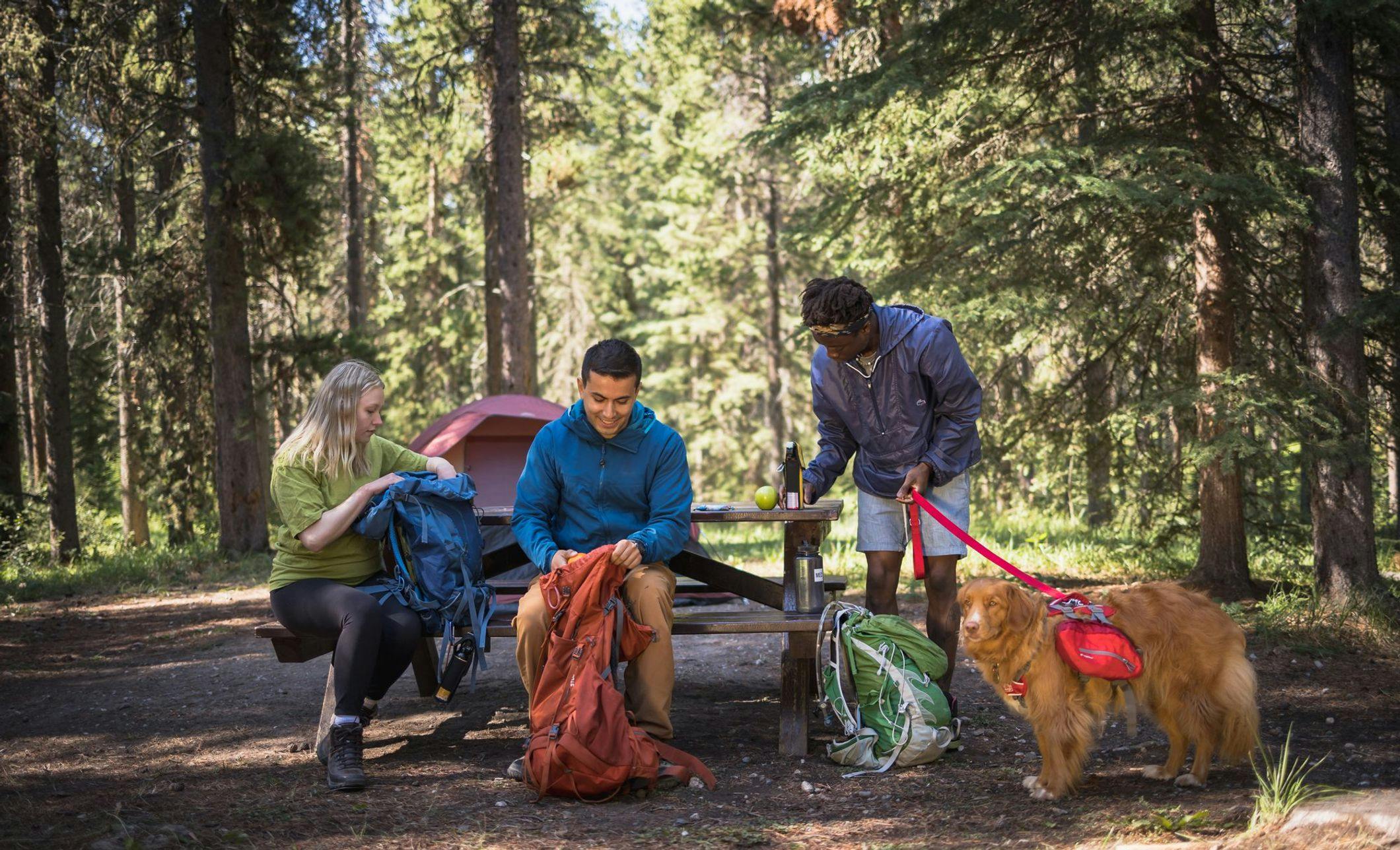 Three friends pack their backpacks at a camping site to go on a hike with their dog 