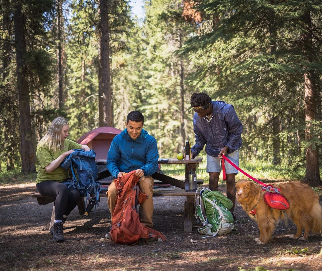 Three friends pack their backpacks at a camping site to go on a hike with their dog 