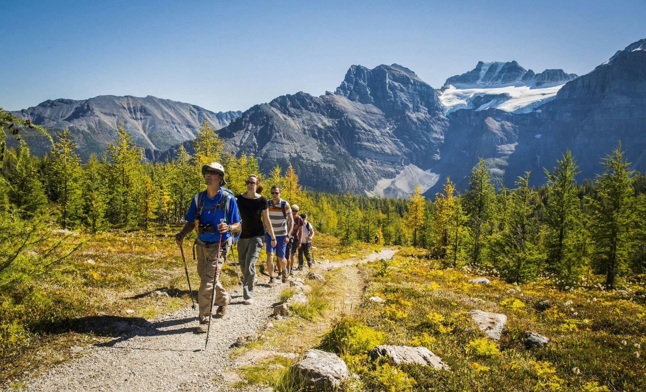 Hiking Tour - Discover Banff Tours - Guided