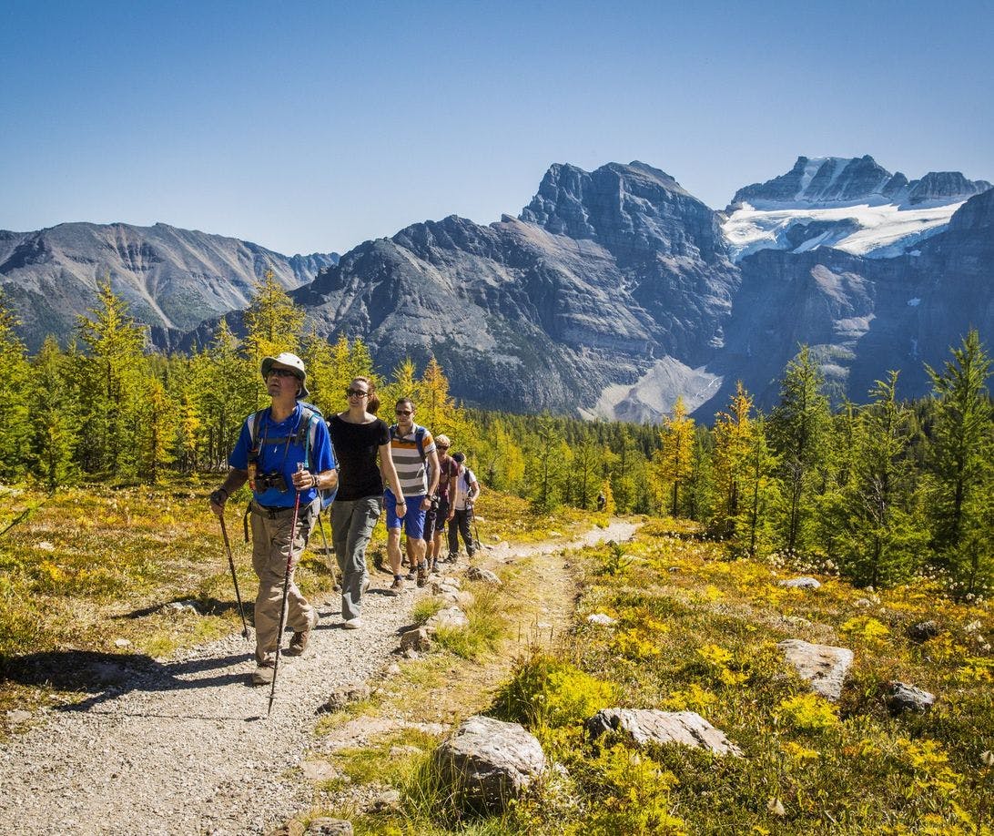 Hiking Tour - Discover Banff Tours - Guided