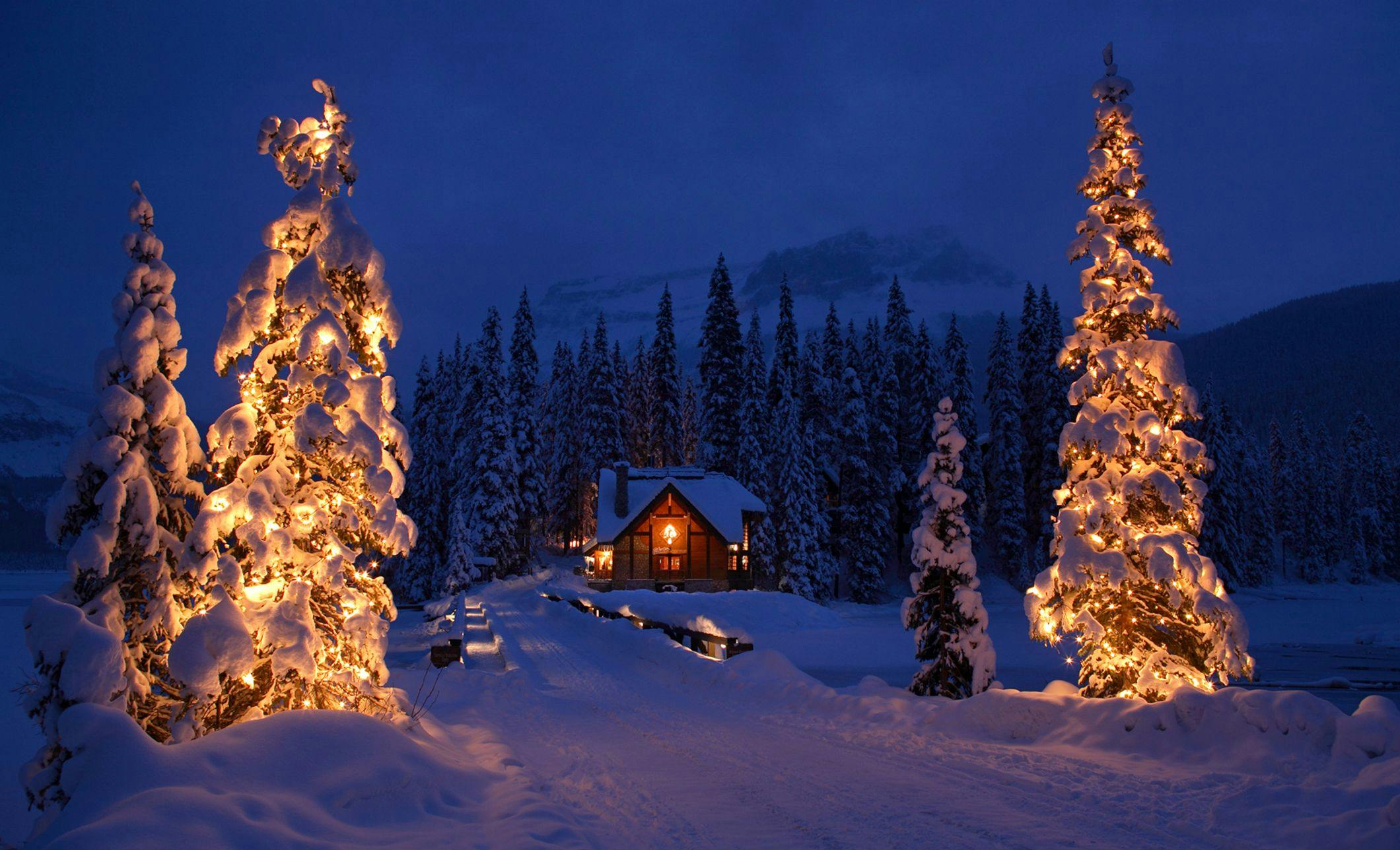  Two snow covered trees with Christmas lights framing a road leading to a cozy cabin in the background