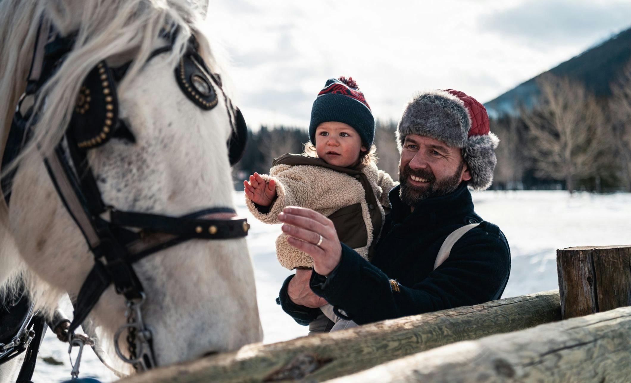 A father and a young baby are bundled up outside in the winter next to a large horse that will pull them in a sleigh