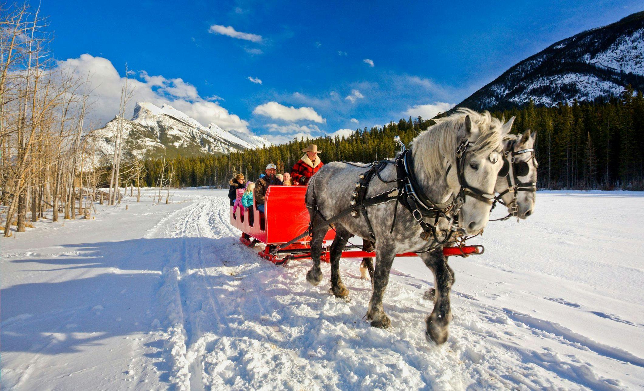 A horse drawn sleigh ride traveling through a snowy landscape with mountains in the background