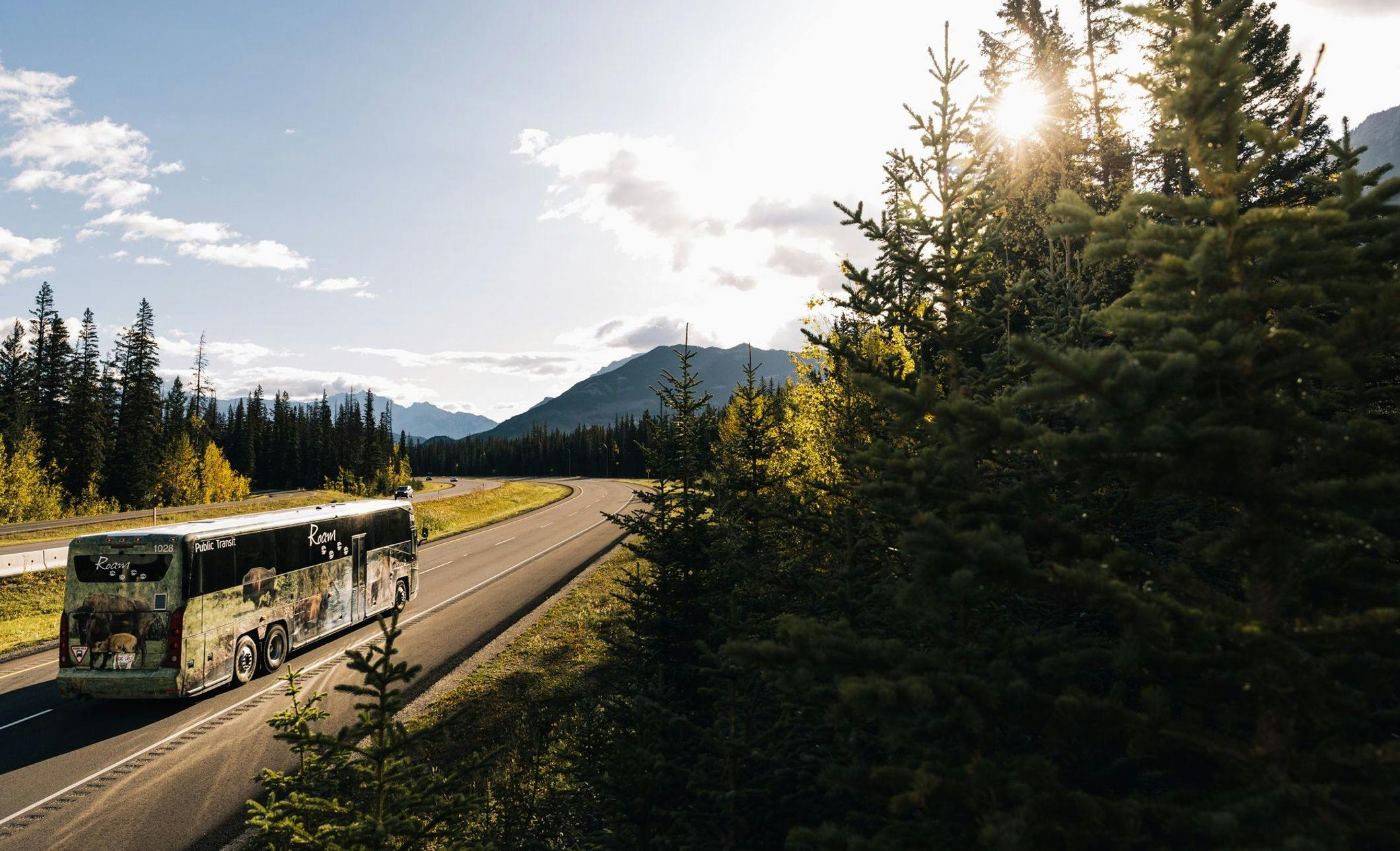 A motorcoach bus with wildlife on the sides travels along a stretch of highway towards mountains and framed by tall green trees on a sunny day