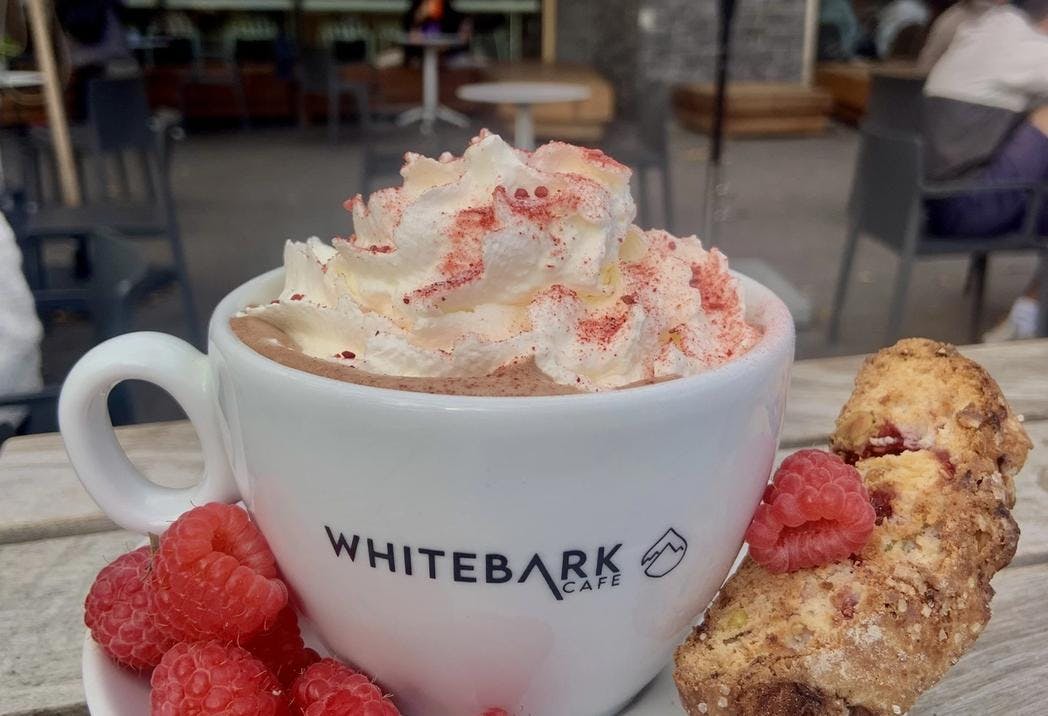 A hot chocolate from Whitebark Cafe in Banff.