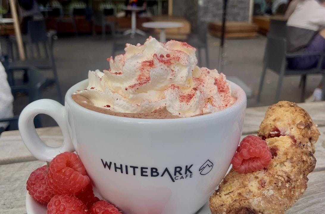 A hot chocolate from Whitebark Cafe in Banff.
