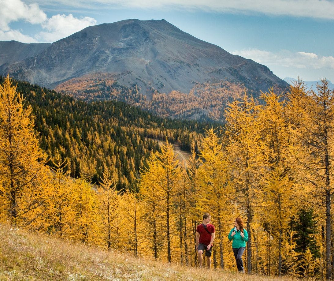 Couple hiking through larch valley