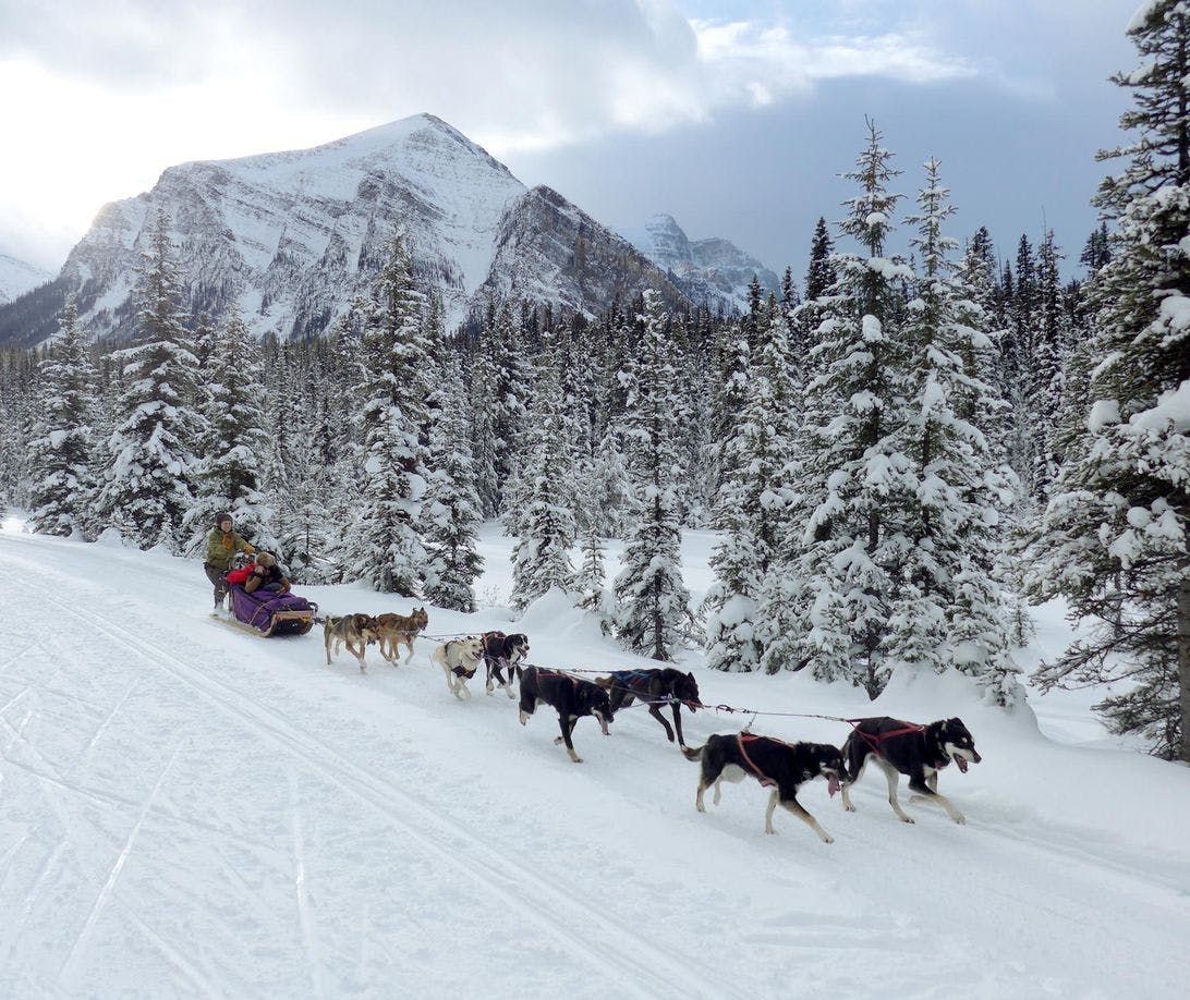 Dogsledding along the Great Divide Trail in Banff National Park, AB