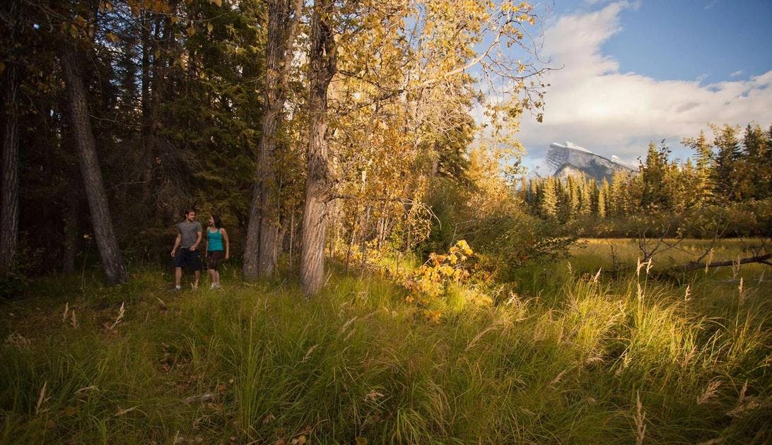 Fenlands Trail, Banff National Park