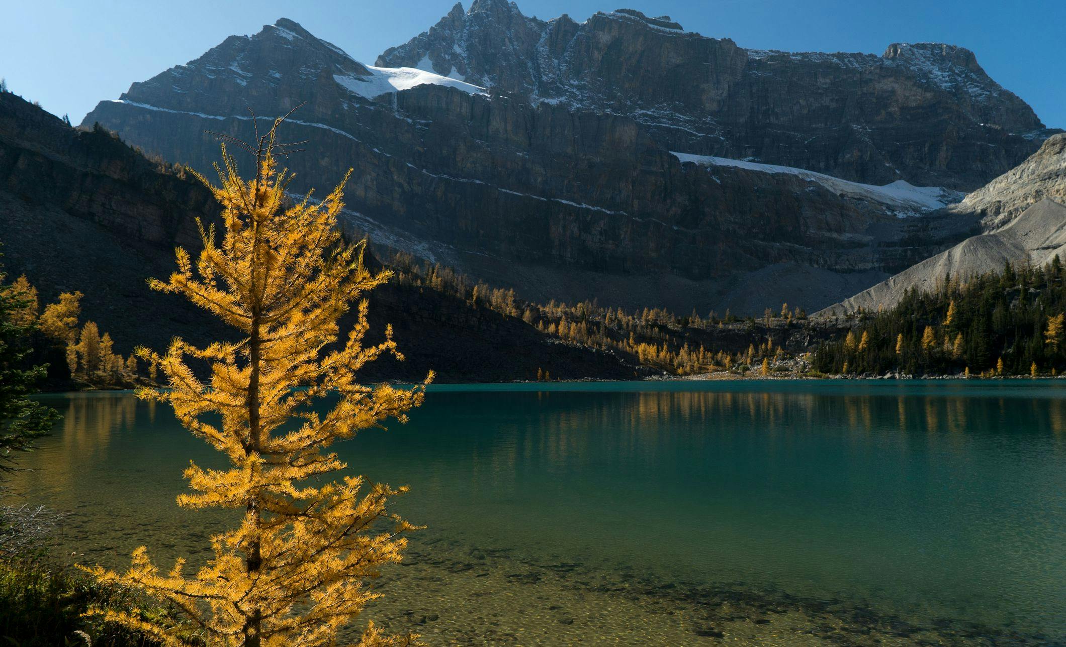 Myosotis Lake, Banff National Park