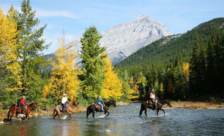 4 horses with riders crossing a stream. Trees with fall colours in background