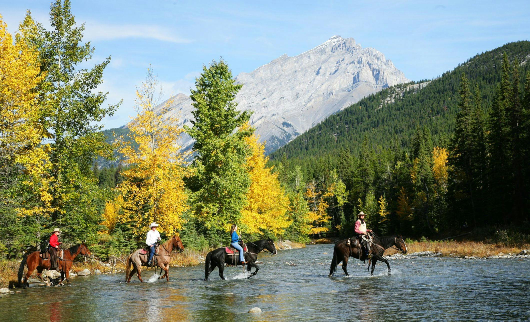 Four horses and riders cross a shallow river surrounded by colourful trees on a warm summer day