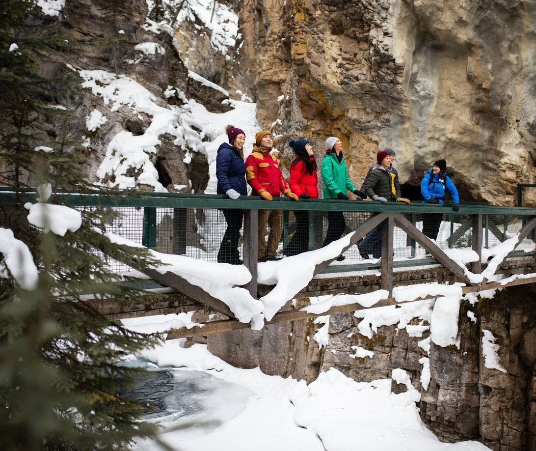 A group in colourful winter jackets standing on a bridge over a frozen canyon