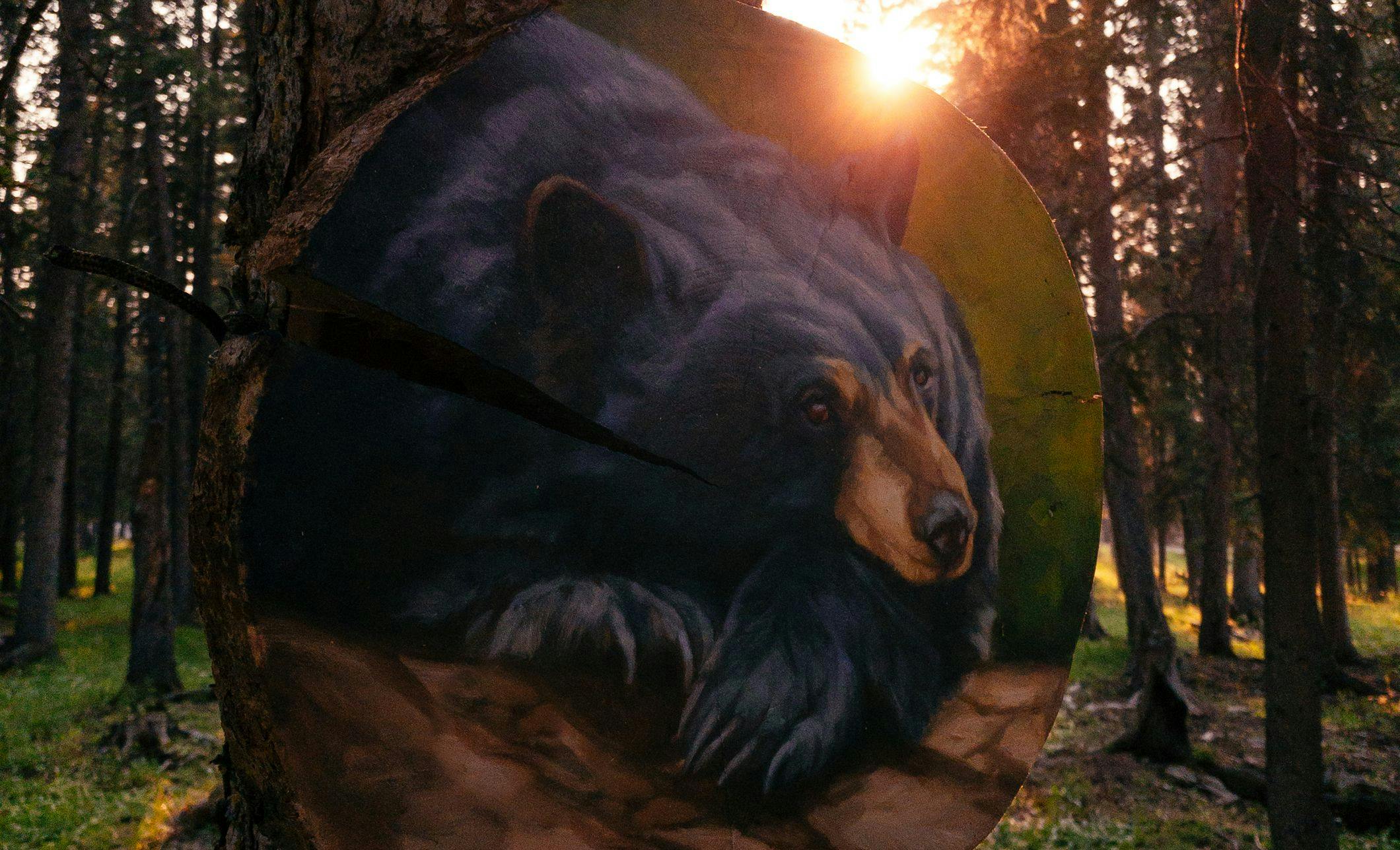 Black Bear on the Art in Nature Trail 2021