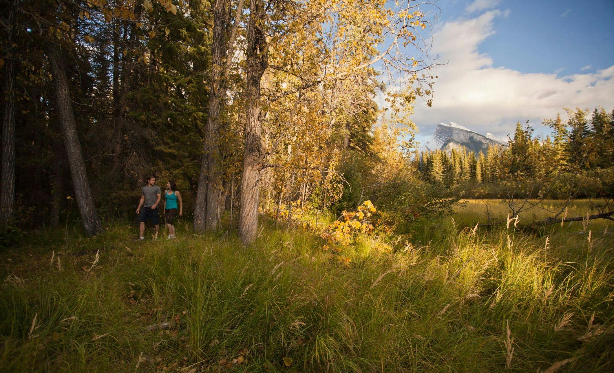 Banff and Lake Louise Wellness Walking