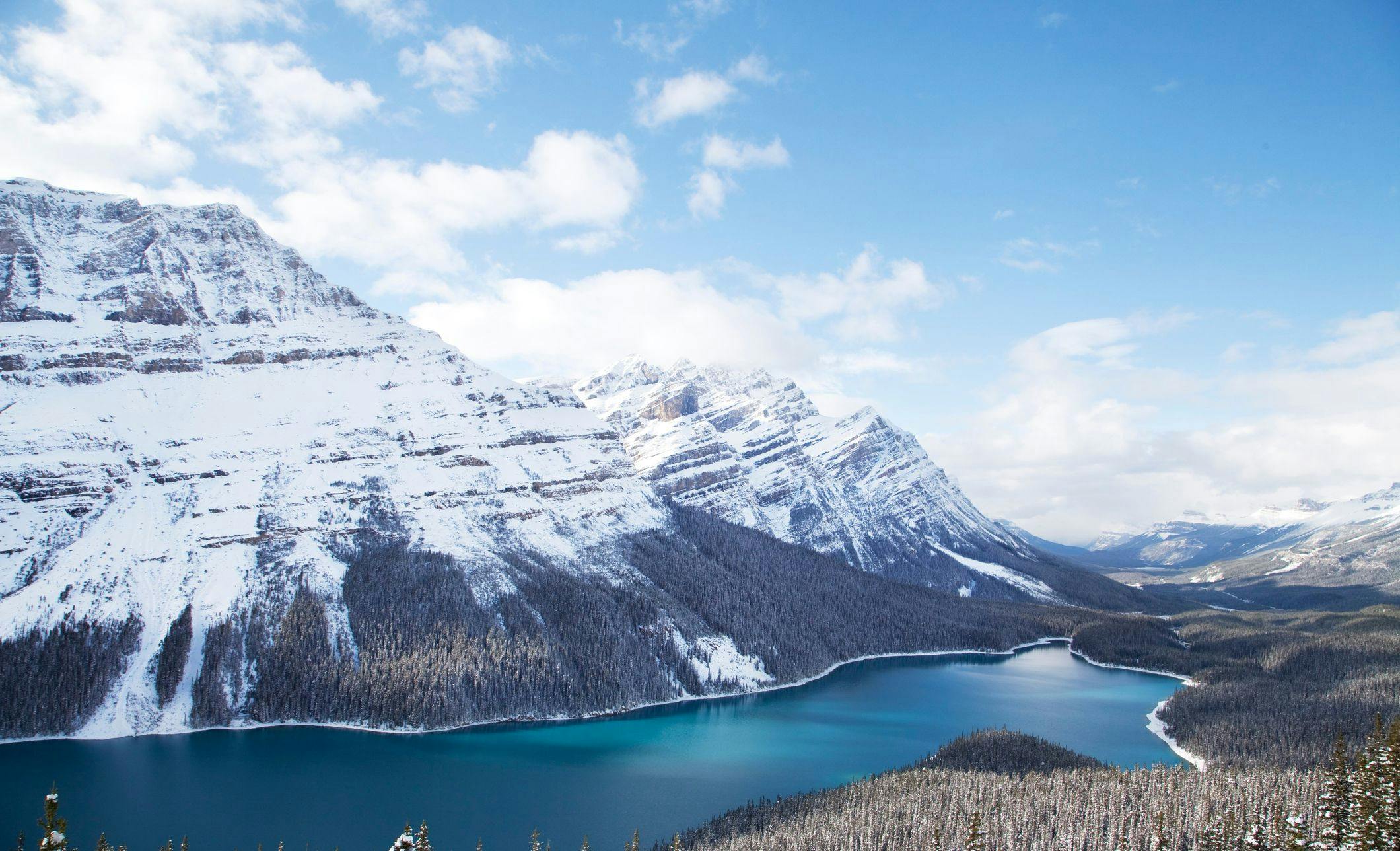 Peyto_Lake_Icefields_Parkway_Winter
