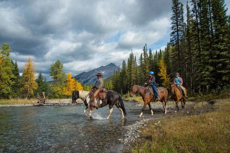 Horse riding in Banff