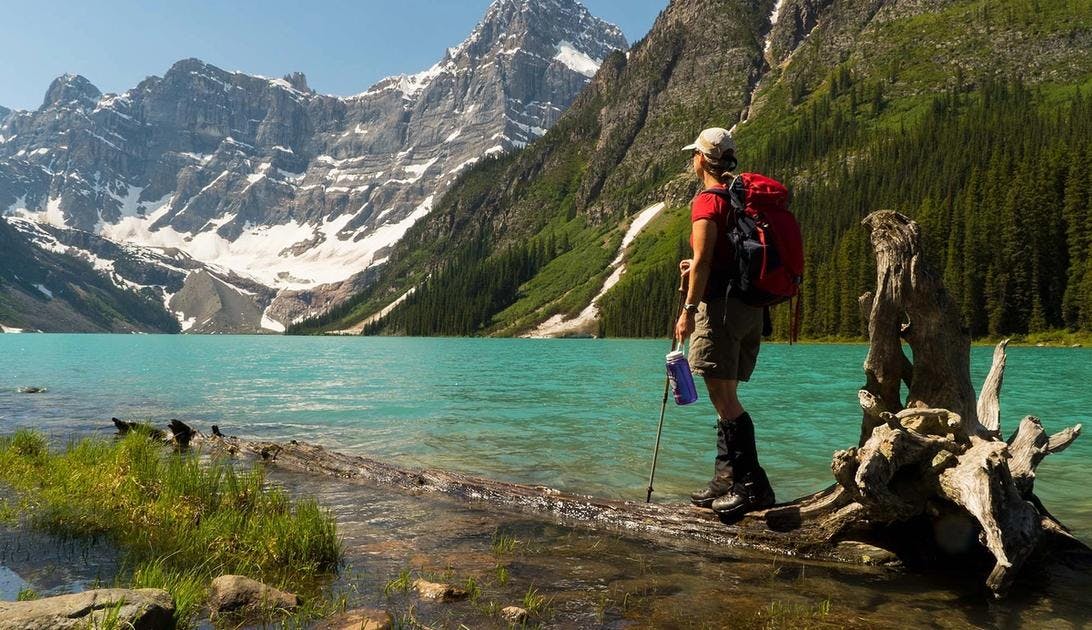 13 Summer Attractions in Banff National Park | Banff & Lake Louise Tourism